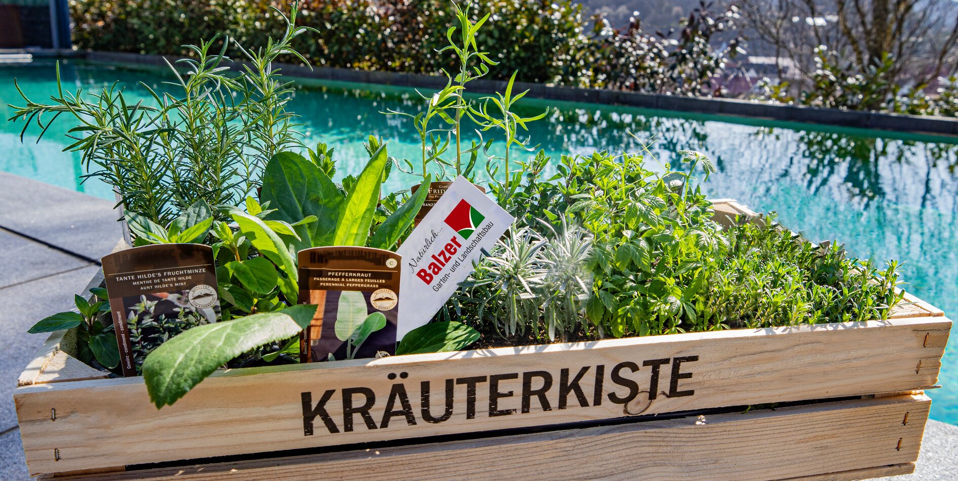 Kraeuterkiste Balzer Garten und Landschaftsbau