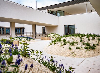Dachterrasse mit Dachbegrünung auf Firmengelände in Kassel Dachbegrünung auf Dachterrasse in Kassel - Garten- und Landschaftsbau
