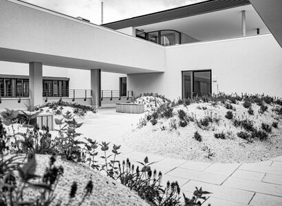 Dachterrasse mit Dachbegrünung auf Firmengelände in Kassel Dachbegrünung auf Dachterrasse in Kassel - Garten- und Landschaftsbau