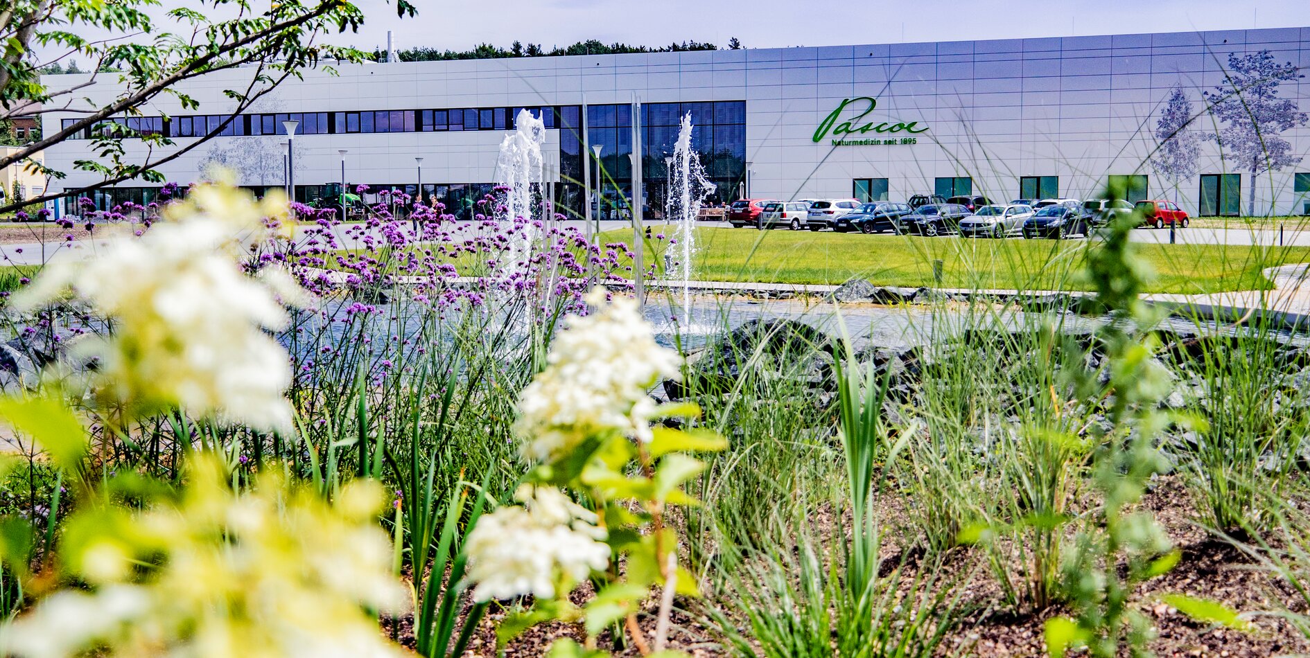 Firma Pascoe Giessen Balzer Garten und Landschaftsbau